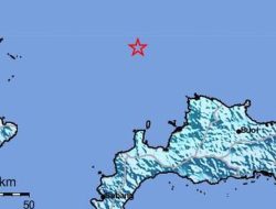 Toli-toli Diguncang Gempa M 5,5, Pusatnya di Laut